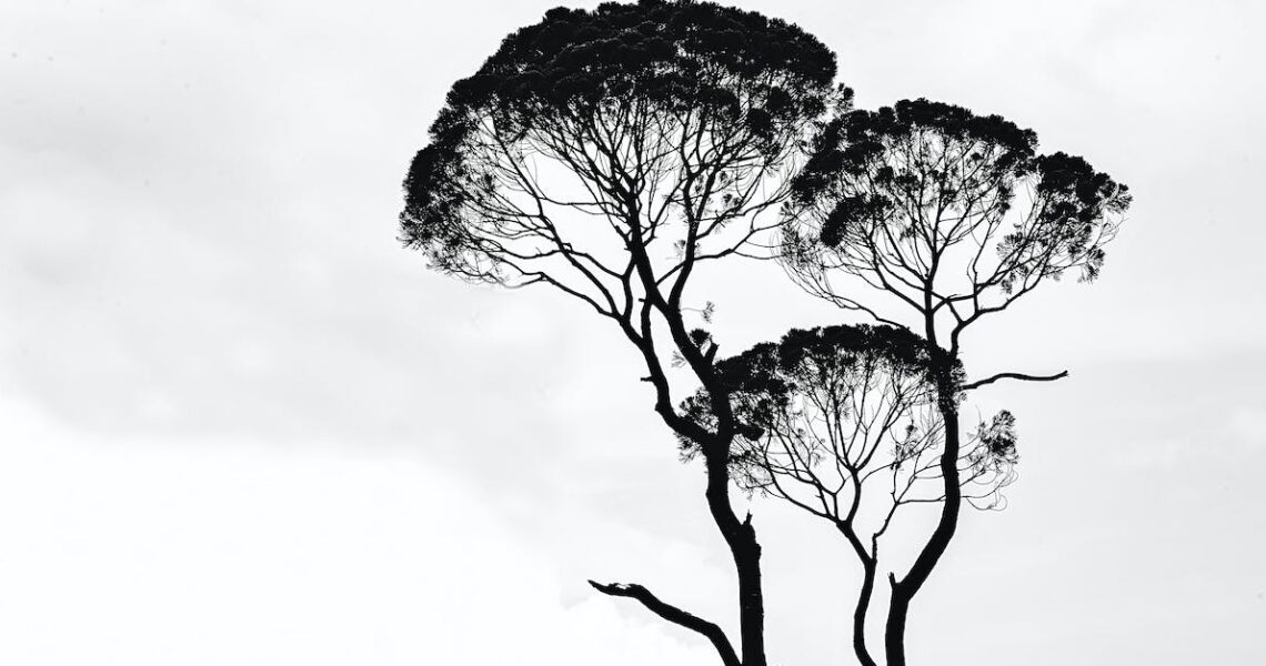 Exploring the Depth of African Art and its Global Influence
