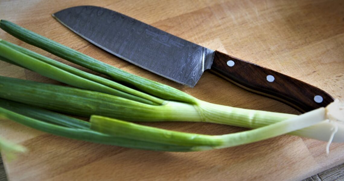 Initiation à la Cuisine : 5 Recettes Faciles pour les Débutants