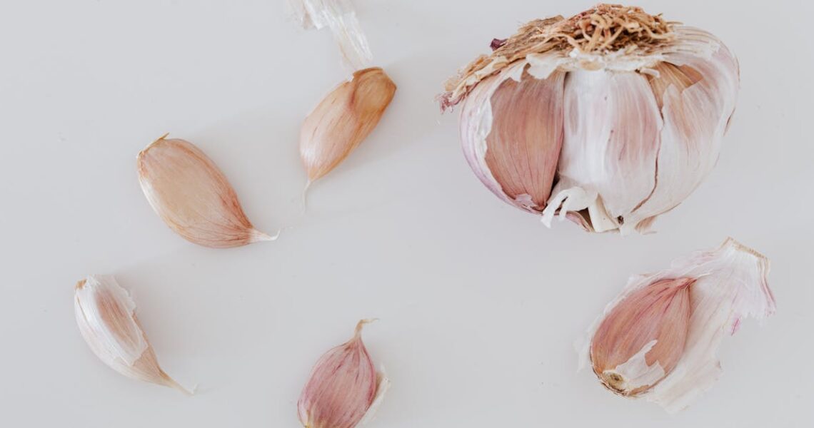 10 Recettes Faciles et Délicieuses à Essayer à la Maison