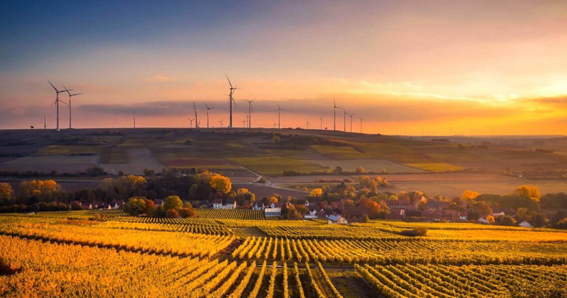 Découverte des plus beaux paysages du monde
